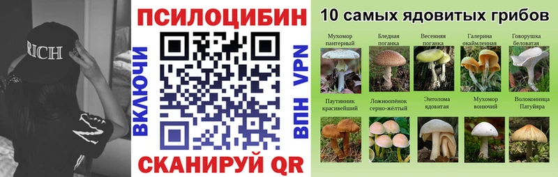Псилоцибиновые грибы Psilocybine cubensis  Орёл 